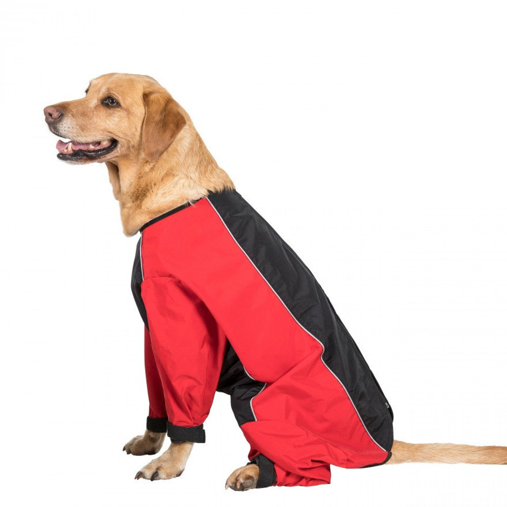 Trespass Tia Dog Windproof Reflective Lined Raincoat Xl - Back 25.6  Torso 41.3  Neck 23.6